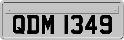 QDM1349