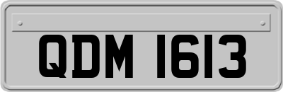 QDM1613