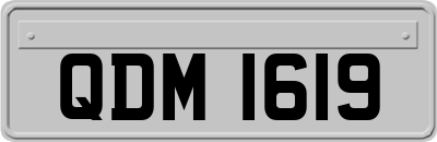 QDM1619