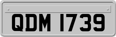 QDM1739