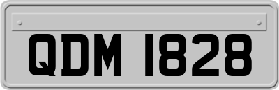 QDM1828