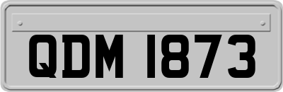 QDM1873