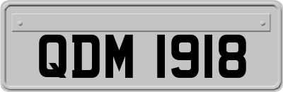 QDM1918