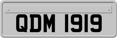 QDM1919