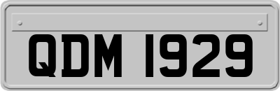 QDM1929