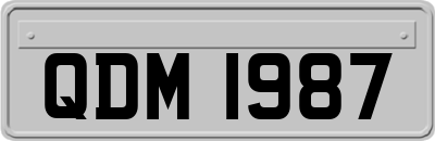 QDM1987