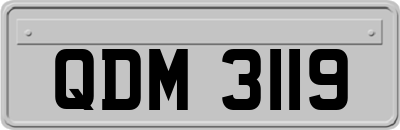 QDM3119