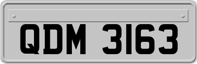 QDM3163