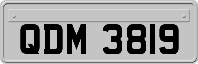 QDM3819