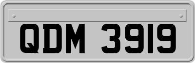 QDM3919