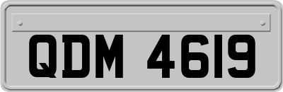 QDM4619