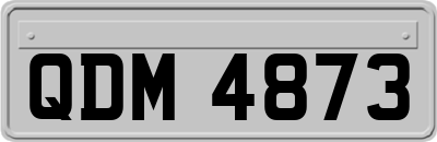 QDM4873