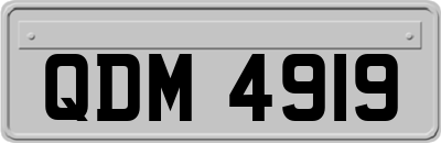 QDM4919