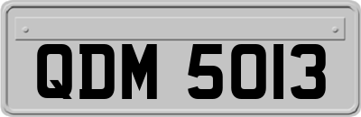 QDM5013