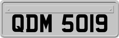QDM5019
