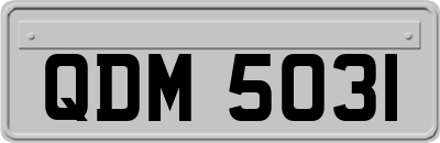 QDM5031
