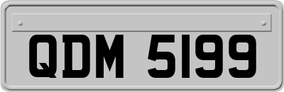 QDM5199