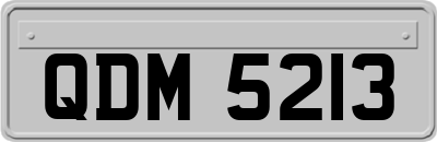 QDM5213
