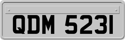 QDM5231