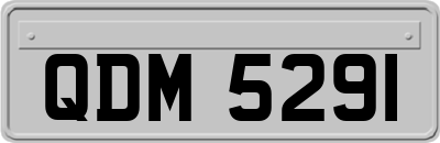 QDM5291