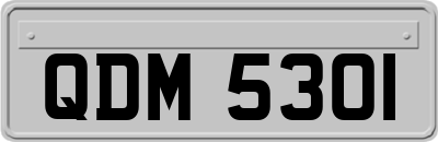 QDM5301