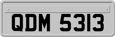 QDM5313