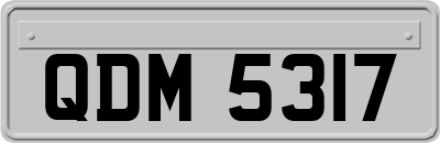 QDM5317