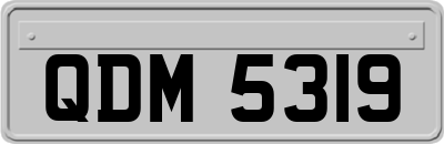 QDM5319