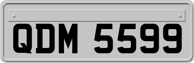 QDM5599