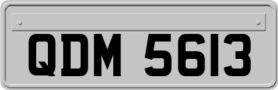 QDM5613