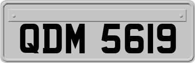 QDM5619