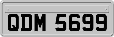 QDM5699
