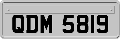 QDM5819