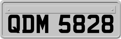 QDM5828