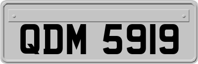 QDM5919