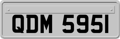 QDM5951