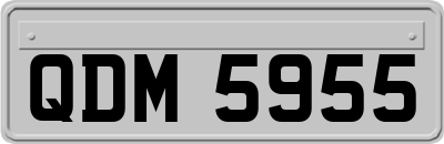 QDM5955