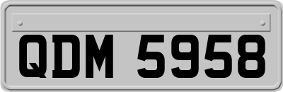QDM5958