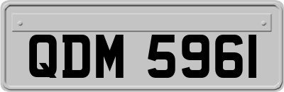 QDM5961