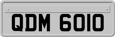 QDM6010