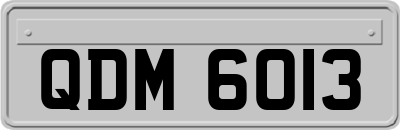 QDM6013