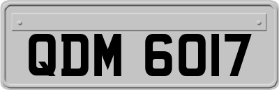 QDM6017