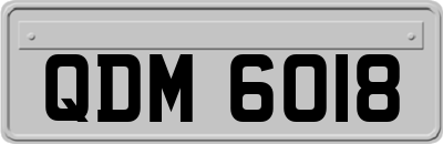 QDM6018