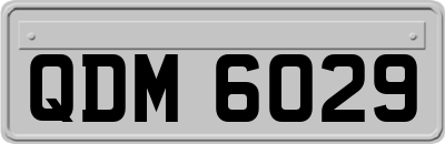 QDM6029