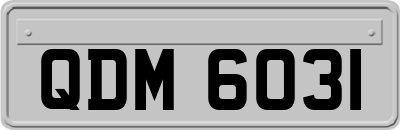 QDM6031