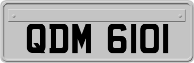 QDM6101
