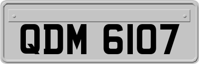 QDM6107