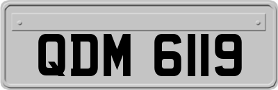 QDM6119