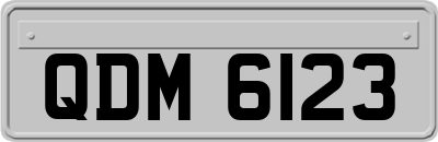 QDM6123