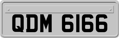 QDM6166